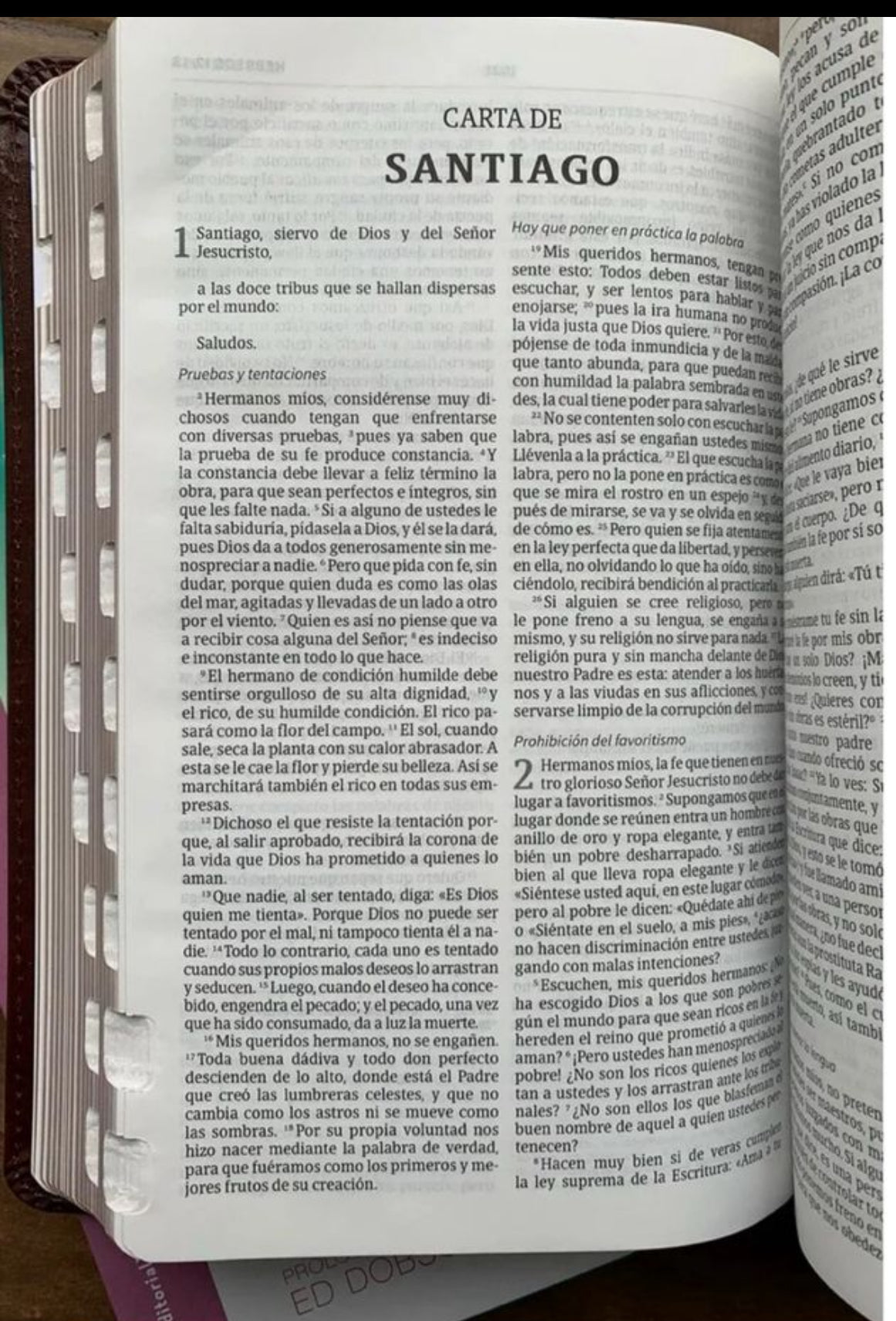 Biblia reina Valera 1960 con índice