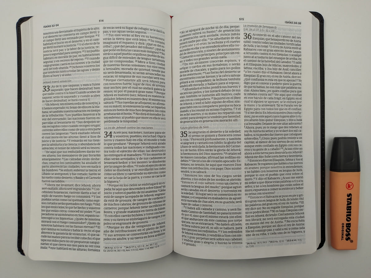Biblia del ministro RVR 1960