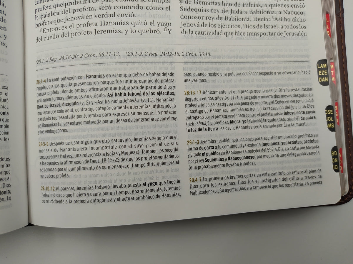 Biblia de estudio para mujeres RVR60 Piel italiana Marrón