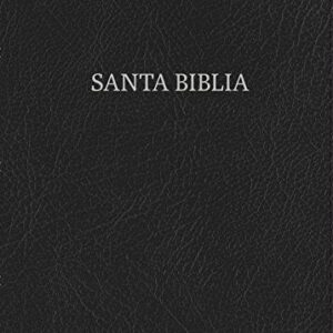 Biblia al Día