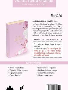 BIBLIA RV60, LETRA GRANDE, IMITACION PIEL. COLOR ROSA CLARA