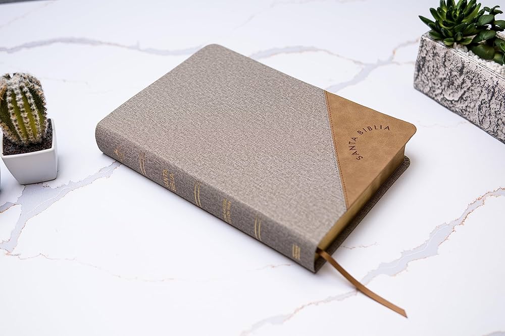 BIBLIA RV60 LETRA SUPERGIGANTE. COLOR GRIS. - Imagen 2