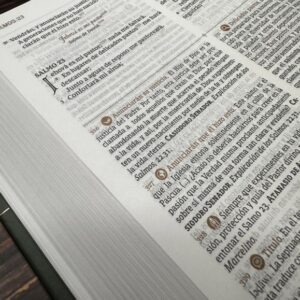 Biblias de Estudio
