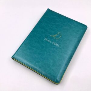 BIBLIA NTV TURQUESA CON CIERRE E INDICE LETRA GRANDE