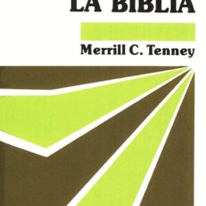 DICCIONARIO MANUAL DE LA BIBLIA
