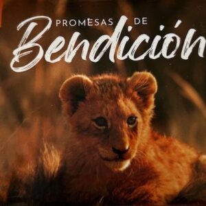 PROMESAS DE BENDICION
