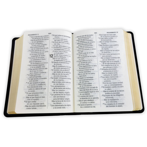 BIBLIA RVR1960 COMPACTA, LETRA GRANDE 11 PUNTOS, SÍMIL PIEL VINILO NEGRA - Imagen 2