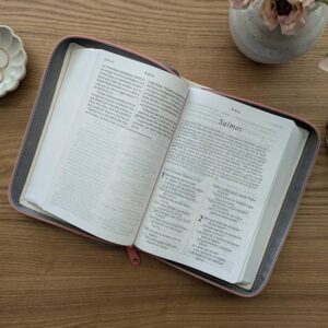 BIBLIA COMPACTA NTV LETRA GIGANTE CON CREMALLERA, CON FILEMENT, SENTIPIEL BEIG