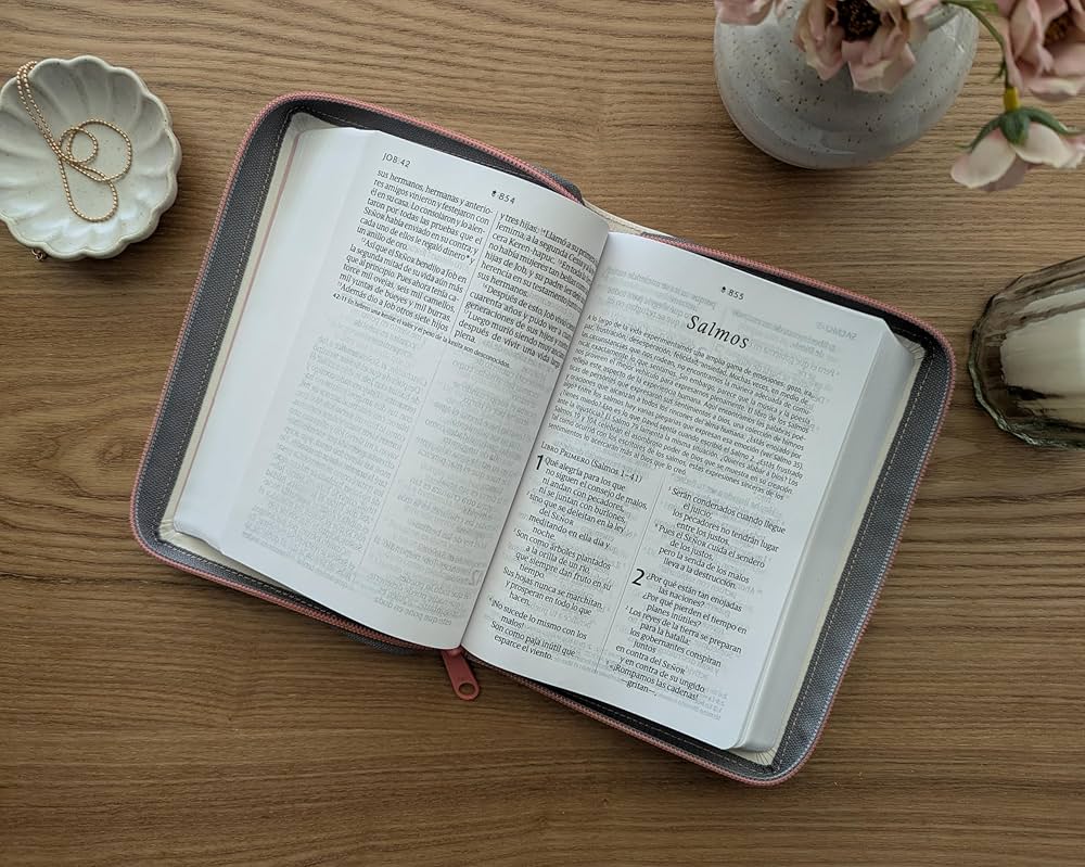 BIBLIA COMPACTA NTV LETRA GIGANTE CON CREMALLERA, CON FILEMENT, SENTIPIEL BEIG