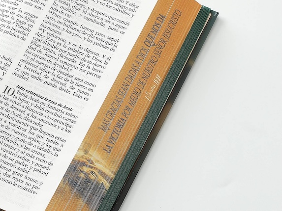 Biblia RVR60 TAMAÑO MANUAL LETRA GRANDE TAPA DURA CON ELASTICO: LEON Y CRUZ
