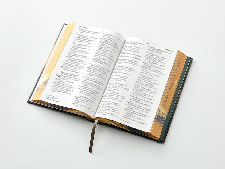 Biblia RVR60 TAMAÑO MANUAL LETRA GRANDE TAPA DURA CON ELASTICO: LEON Y CRUZ - Imagen 2
