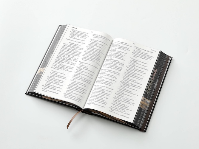 BIBLIA RVR60 TAMAÑO MANUAL LETRA GRANDE TAPA DURA CON ELASTICO: LEON DE JUDA - Imagen 3
