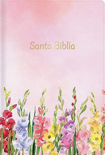 BIBLIA RV60, LETRA GRANDE, TAMAÑO MANUAL, IMITACION PIEL. COLOR FUCSIA.